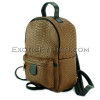 Brown color python leather backpack BG-279