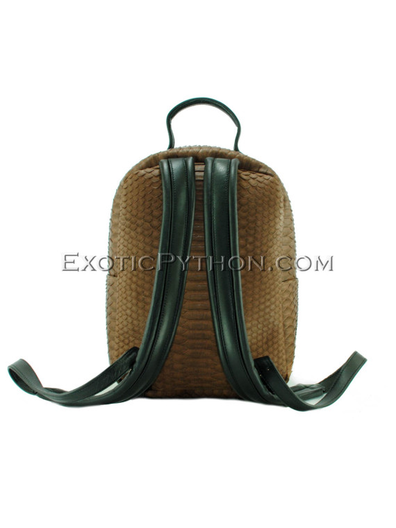 Brown color python leather backpack BG-279