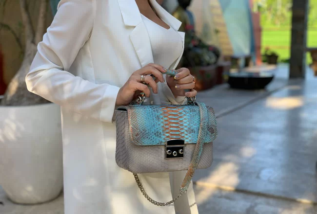 python-skin-bag-650x440.jpg.webp