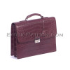 Crocodile briefcase BG-348