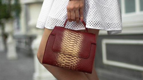 Extravagant snakeskin purse