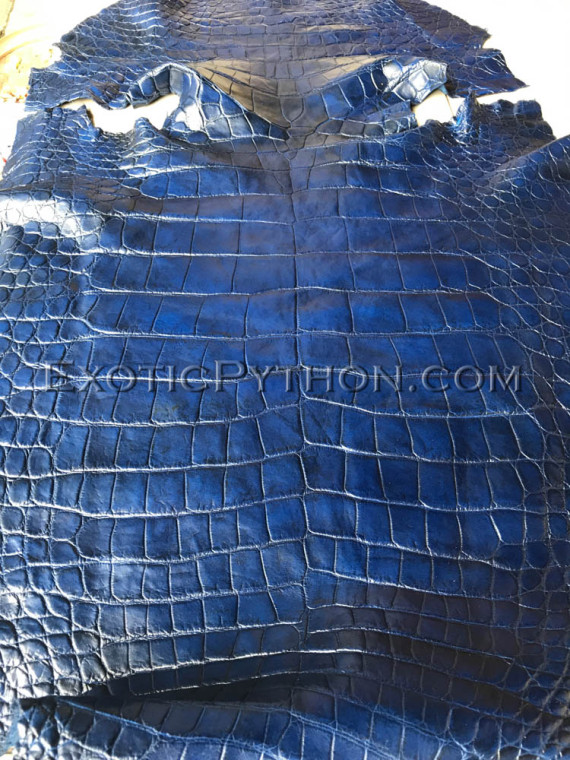 Crocodile skin blue SK-49