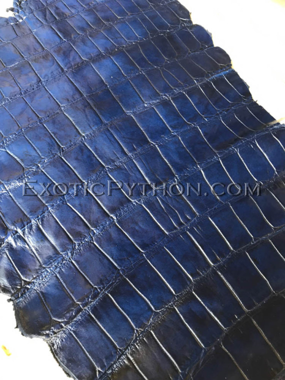 Crocodile skin blue SK-49