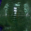 Crocodile skin green color SK-46