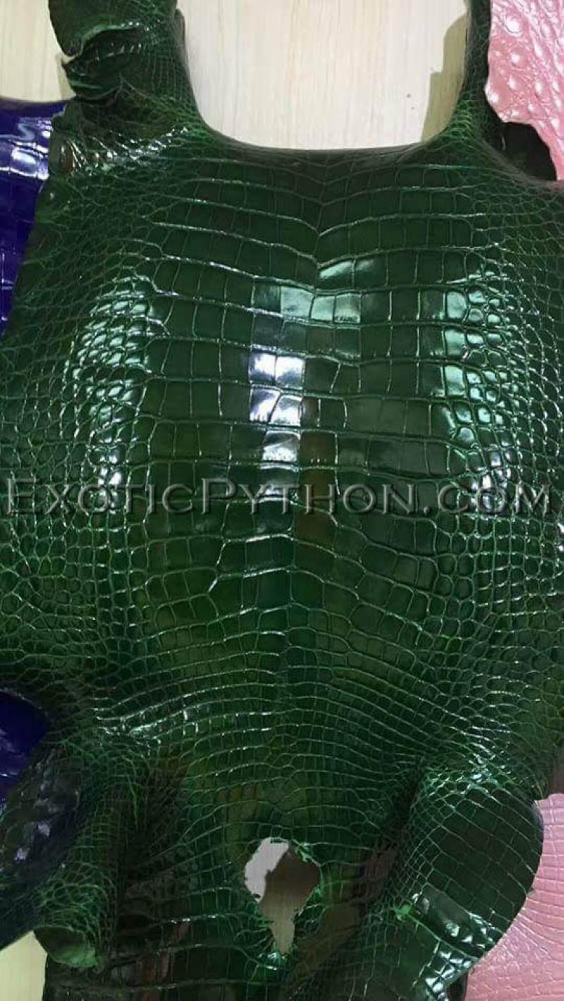 Crocodile skin green color - EXOTIC PYTHON