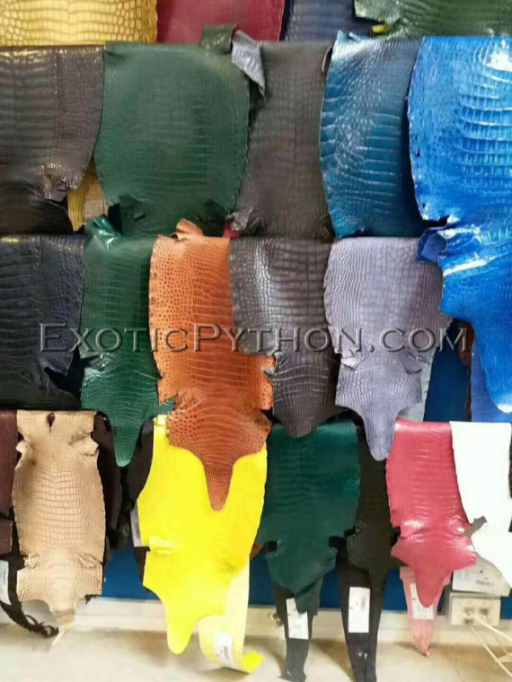 Crocodile skin color any SK-54