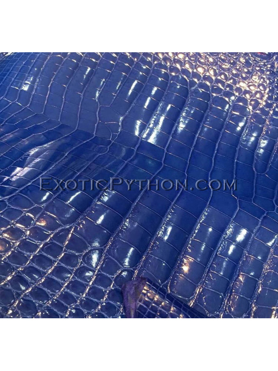 Crocodile skin gloss blue SK-43