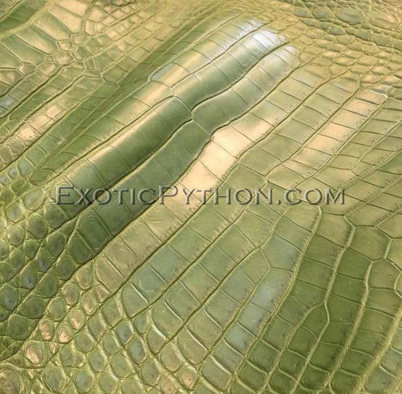 Crocodile skin green color - EXOTIC PYTHON