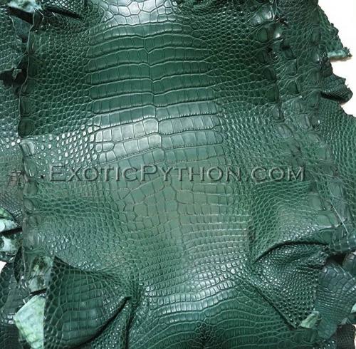 Crocodile skin color gloss green SK-39