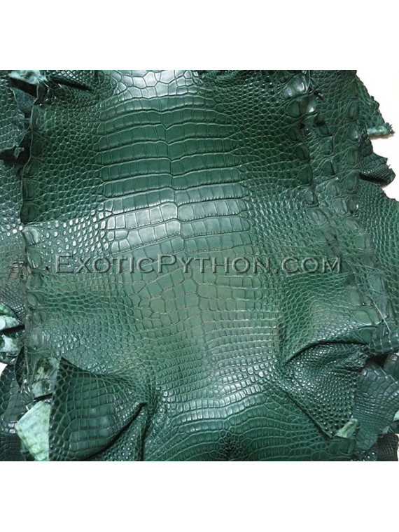 Crocodile skin color gloss green SK-39