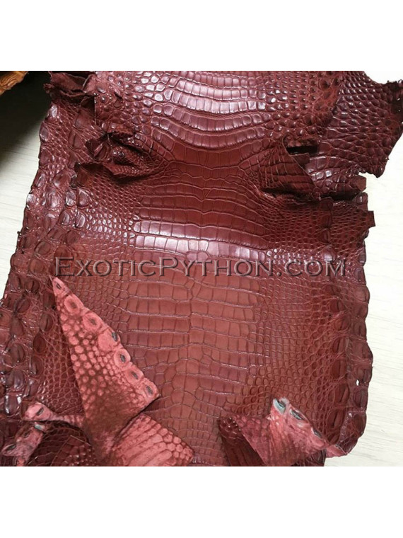 Crocodile skin color gloss brown SK-38