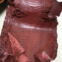 Crocodile skin color gloss brown SK-38