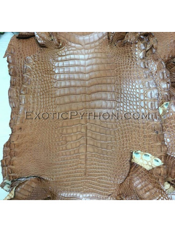 Crocodile skin SK-36