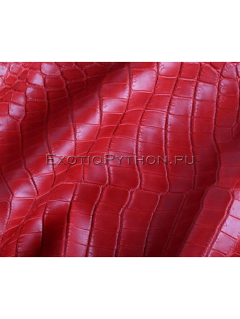 Crocodile skin red SK-48 