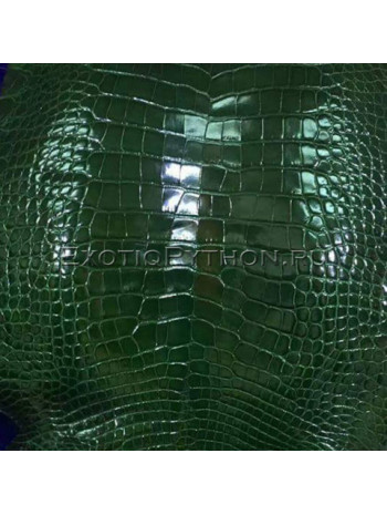 Crocodile skin green color SK-46 