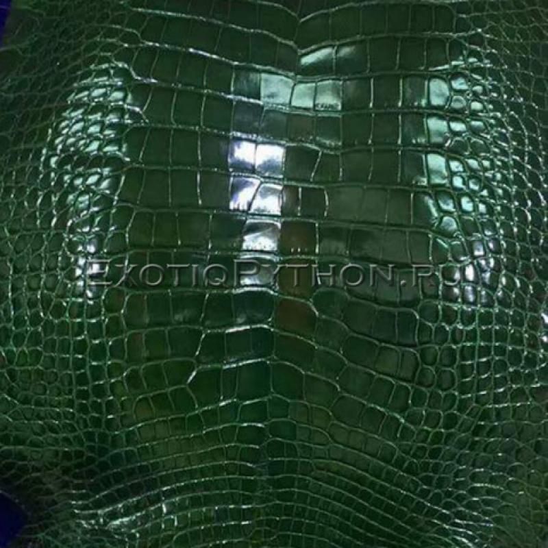 Green Crocodile Leather Texture Background Stock Photo - Image of crafts,  macro: 80098196