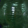 Crocodile skin green color SK-46 