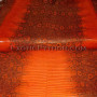 Lizard skin orange color SK-21