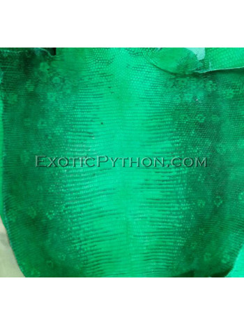 Lizard skin green color SK-26 