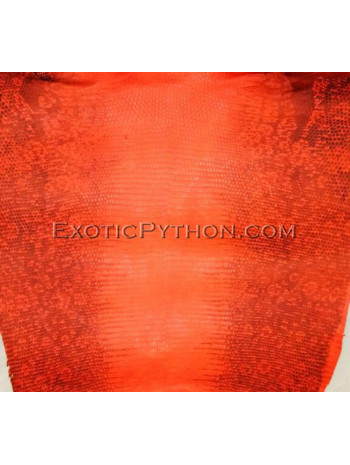 Lizard skin orange SK-29