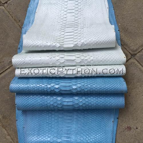 Python skin blue semi-gloss SK-13