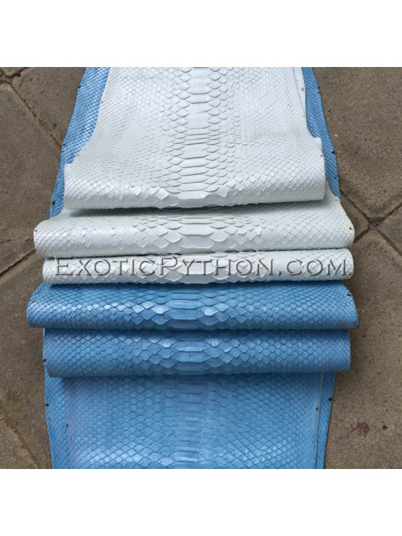 Python skin blue semi-gloss SK-13