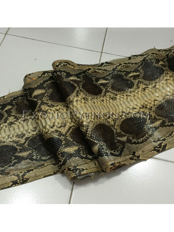 Beige Gloss python skin SK-11