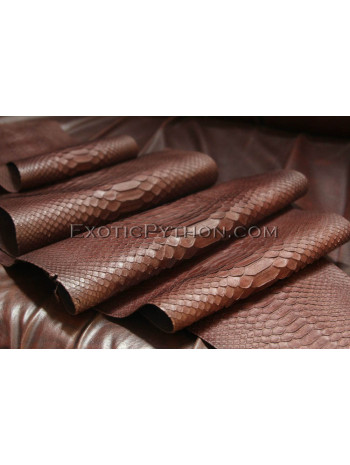 Python skin brown color SK-7