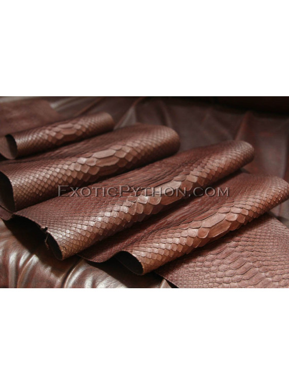 Python skin brown color SK-7