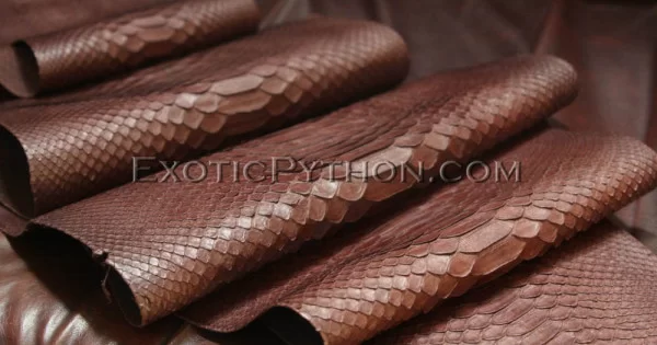 Python skin brown color - "EXOTIC PYTHON"