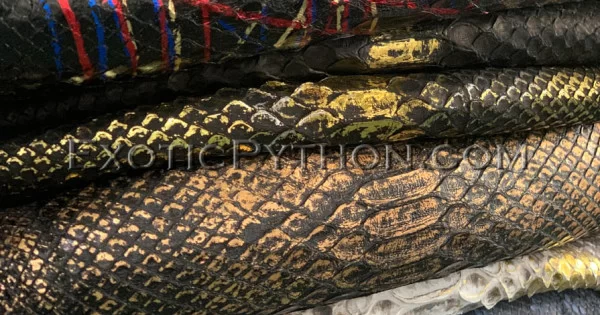 Python skin color any SK-60 - Exotic Python