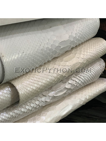 Python skin matt white color SK-3