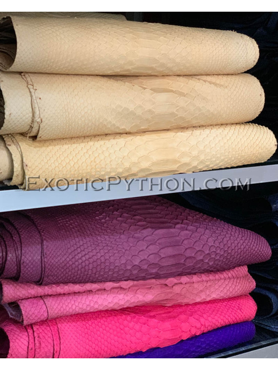 Python skin color any SK-19 