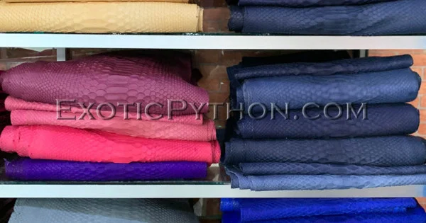 Python skin color any SK-18 - Exotic Python