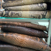 Python skin color any SK-59