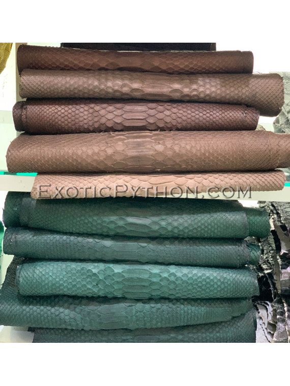 Python skin color any SK-59