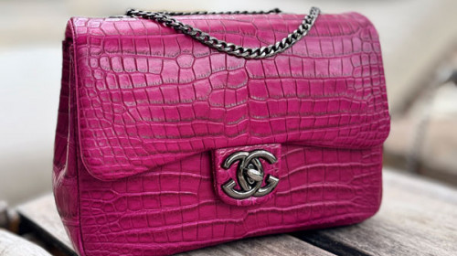 Crocodile Bag That Instantly Upgrades Your Outfit