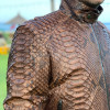 Men's snakeskin brown jacket JT-111