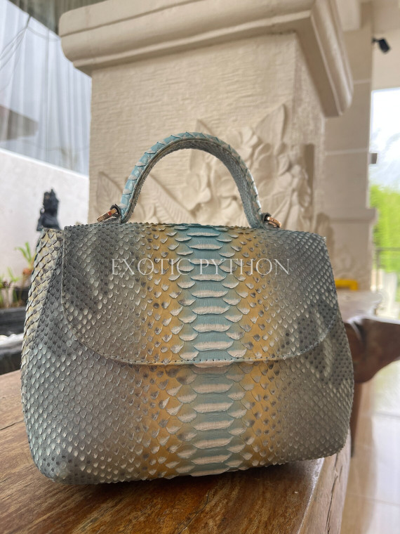 Snakeskin purse - BG-383