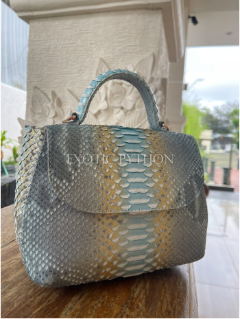 Snakeskin purse - BG-383