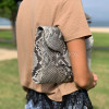 Snakeskin clutch bag CL-345