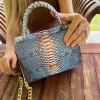 Women's snakeskin bag CL-354