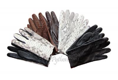 Exotic leather gloves AC-1