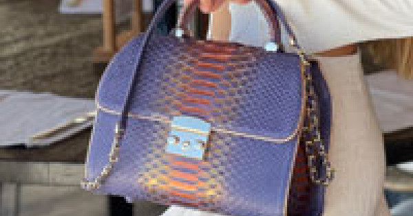 Python Color Bag Woman Women's Python Bags | Exotic Python
