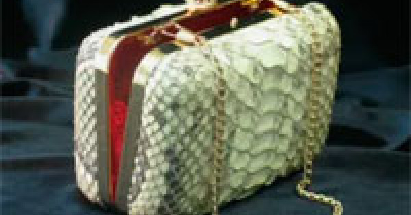 Python Clutch Box - Exotic Python