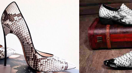 Snakeskin shoes - A Hot New Fashion Trend