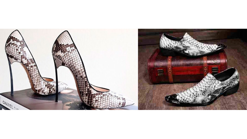 Snakeskin shoes - A Hot New Fashion Trend