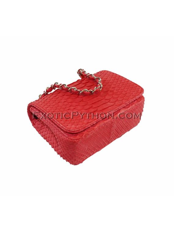 Snakeskin purse CL-74