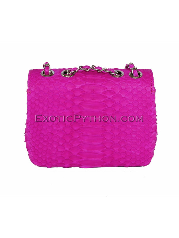 Snakeskin purse CL-80