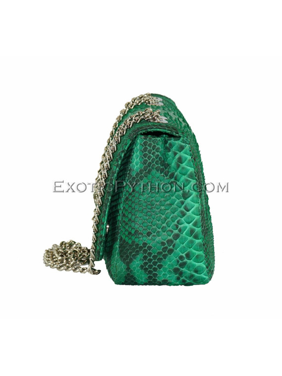 Snakeskin crossbody bag CL-111